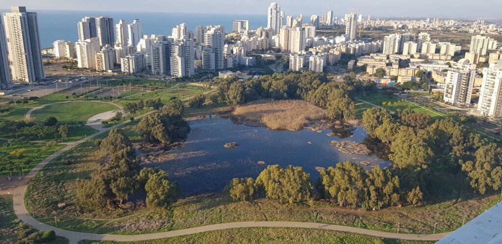 שליחות משפטית נתניה